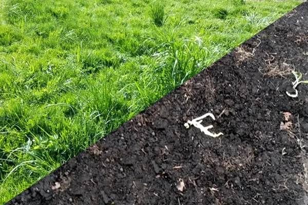 Artificial Turf Removal and Disposal in Conroe, TX