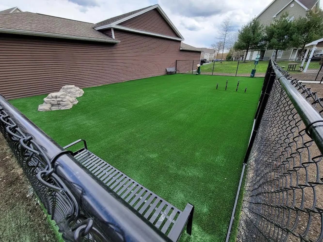 Pet Friendly Artificial Turf Installation in Conroe, TX